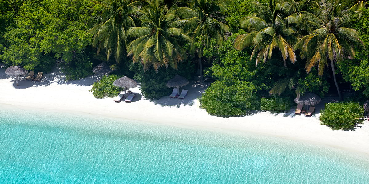 Scuaba - Image 1